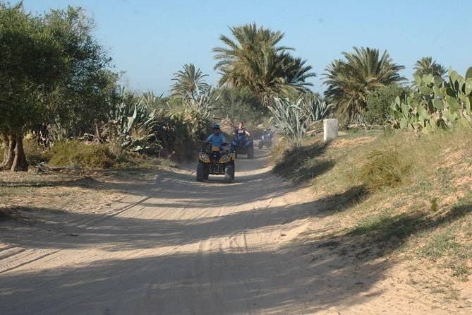 Great Ride Forest and Blue Lagoon in Quad - Pricing and Booking Information
