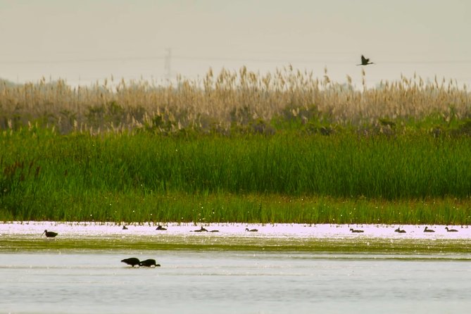 Great Salt Lake Guided Bus Tour From Salt Lake City - Tour Itinerary