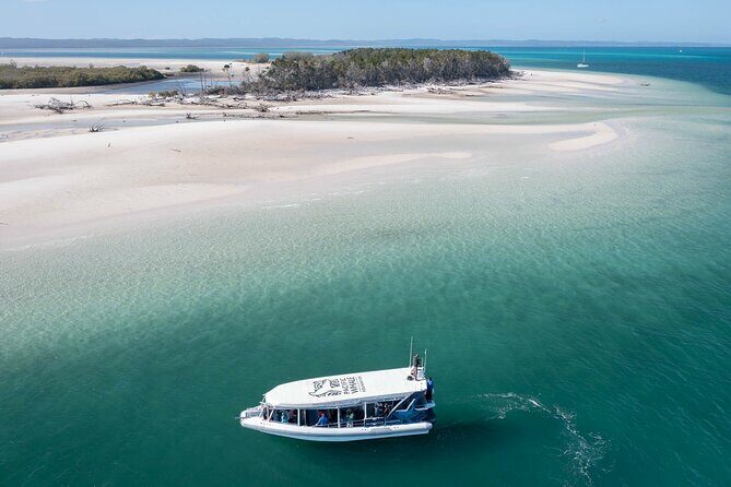 Great Sandy Straits Seven Island Ultimate Wildlife Cruise - Key Points