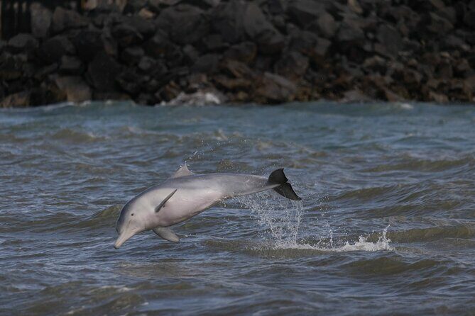 Great Sandy Straits Seven Island Ultimate Wildlife Cruise - A Detailed Look at the Itinerary