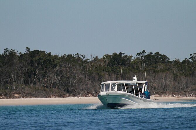 Great Sandy Straits Seven Island Ultimate Wildlife Cruise - Analyzing the Value