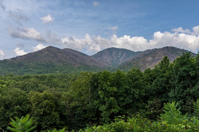 Great Smoky Mountains & Cades Cove Self-Guided Driving Tours - Exploring Top Hiking Trails