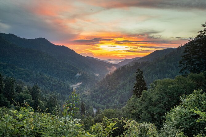 Great Smoky Mountains & Cades Cove Self-Guided Driving Tours - Flexible and Customizable Experience