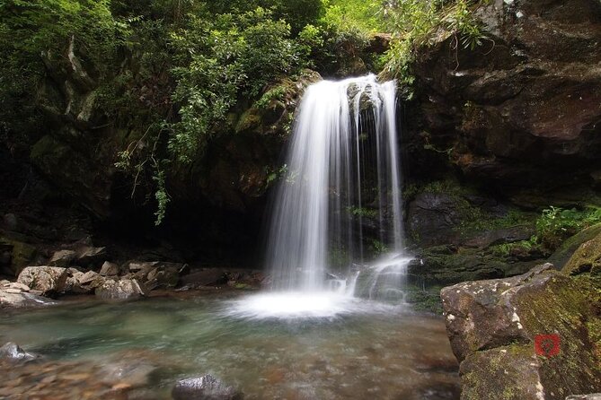 Great Smoky Mountains National Park: Audio Driving Tour - Pricing and Cancellation Policy