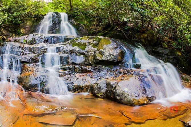 Great Smoky Mountains National Park: Audio Driving Tour - Benefits of the Offline Tour