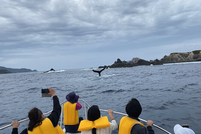 Great Whale Watching at Kerama Islands and Zamami Island - Included in the Tour