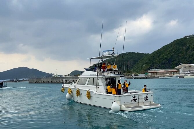 Great Whale Watching at Kerama Islands and Zamami Island - Additional Considerations