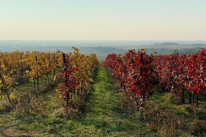 Great Wine Tour in Small Carpathian Hills - Cultural Stops and Attractions