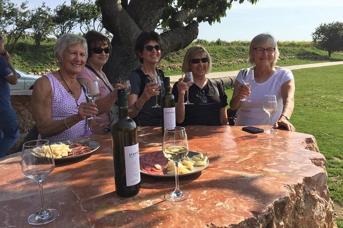 Great Wine Tour in Small Carpathian Hills - Customer Feedback and Ratings