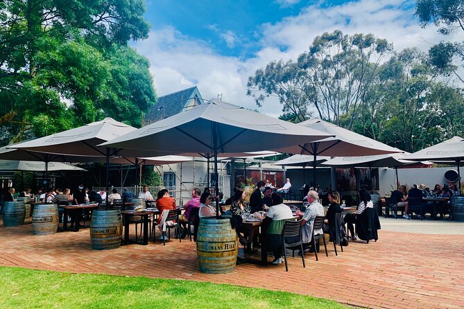 Greater Geelong & The Bellarine Self-Guided Bike Tour Wine Region - Tour Details
