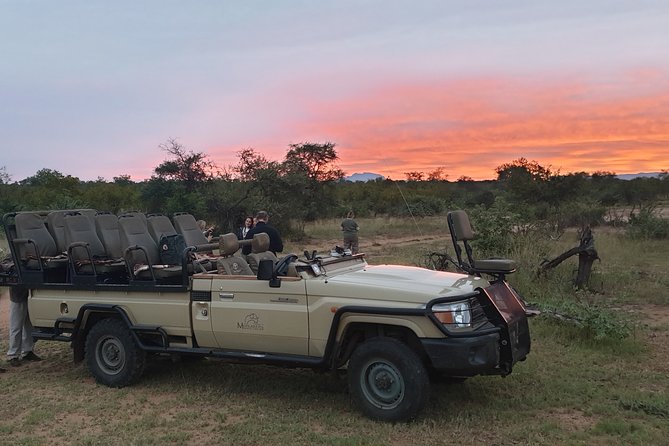 Greater Kruger National Park 4 Day Safari at a Private Game Lodge - Accommodation and Meals