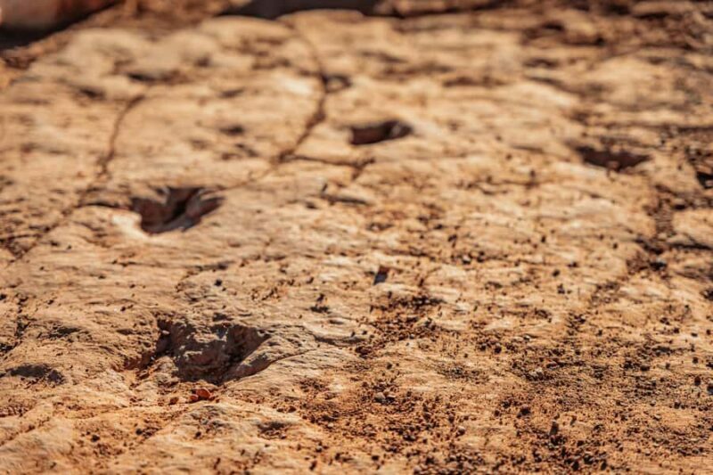 Greater Zion: Dinosaur Tracks in the Desert UTV Tour - An Adventure Through Utah’s Desert Landscape