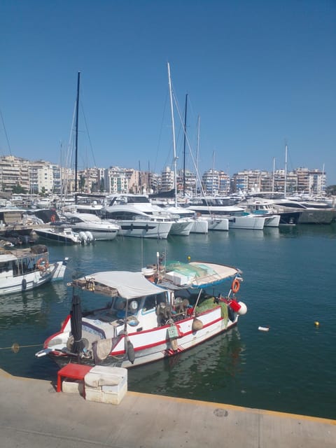 Greece Top Tour (Athens, Cretas, Rhodos, Santorini) - Excluded Activities