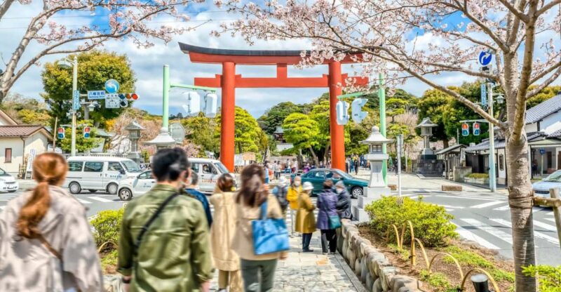 Greedy Gourmet and Temple Tour in Kamakura - Key Points