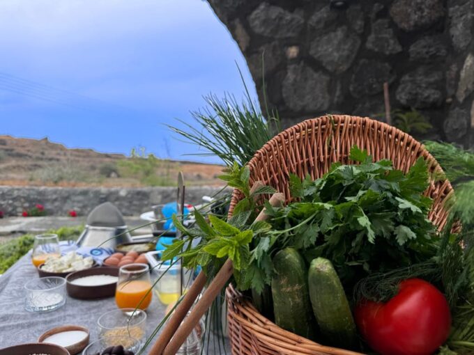 Greek Cooking Class and Dining Experience - Availability and Meeting Point