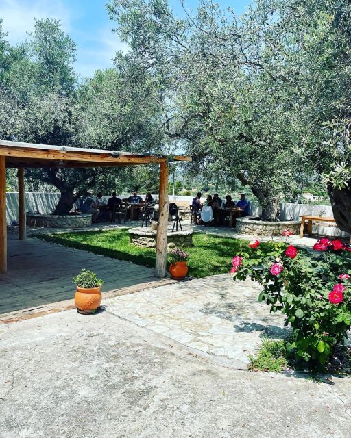 Greek Cooking Class in an Olive Grove in Messinia - Pricing and Booking Information