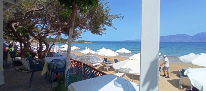 Greek Food Tasting Experience - Presentation of Flavors