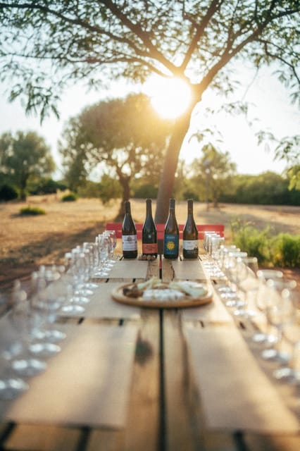 Greek Natural Wines Tasting & Pairing: Taste the Terroir - Key Points