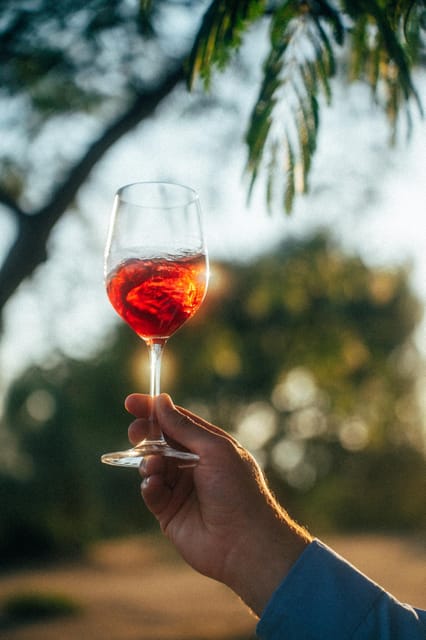 Greek Natural Wines Tasting & Pairing: Taste the Terroir - Natural Wine Production Processes