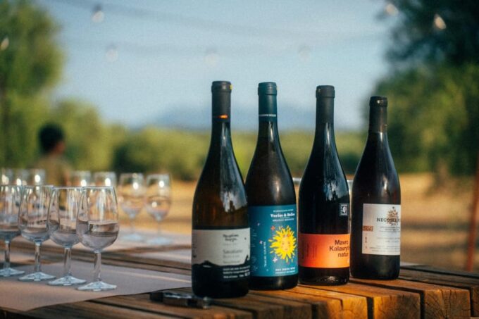 Greek Natural Wines Tasting & Pairing: Taste the Terroir - Sensory Journey Through Flavors