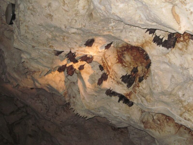 Green Grotto Caves and Puerto Seco Beach Private Tour - Key Points
