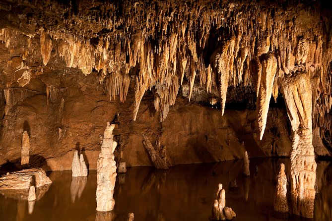Green Grotto Caves Excursion From Falmouth - What to Expect on the Tour
