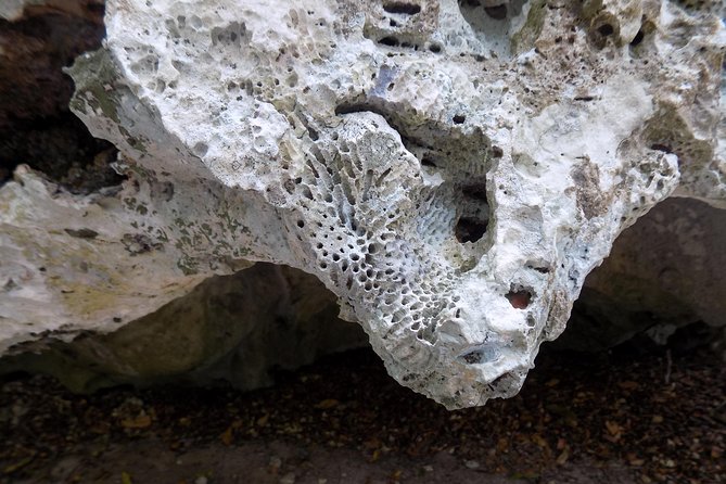 Green Grotto Caves Excursion From Port Antonio - Preparing for the Cave Adventure