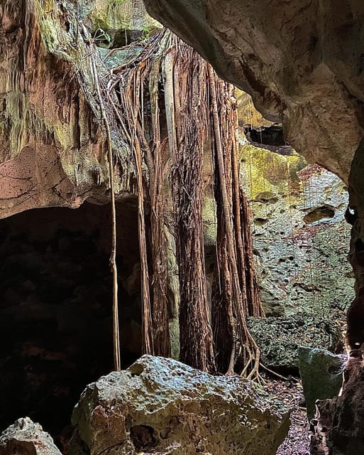 Green Grotto Caves Tour and Transportation - Subterranean Lake
