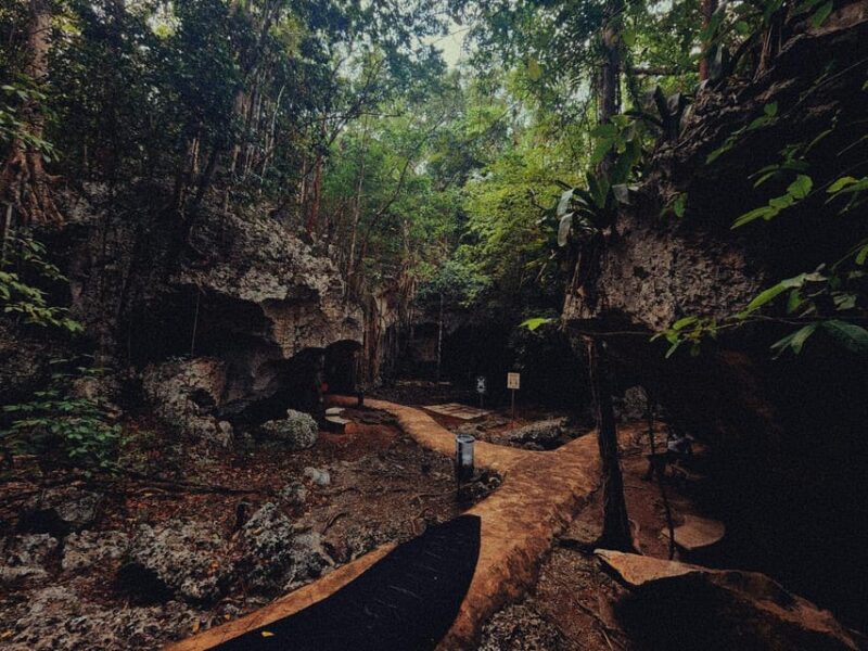 Green Grotto Caves Tour and Transportation - Cave Dimensions