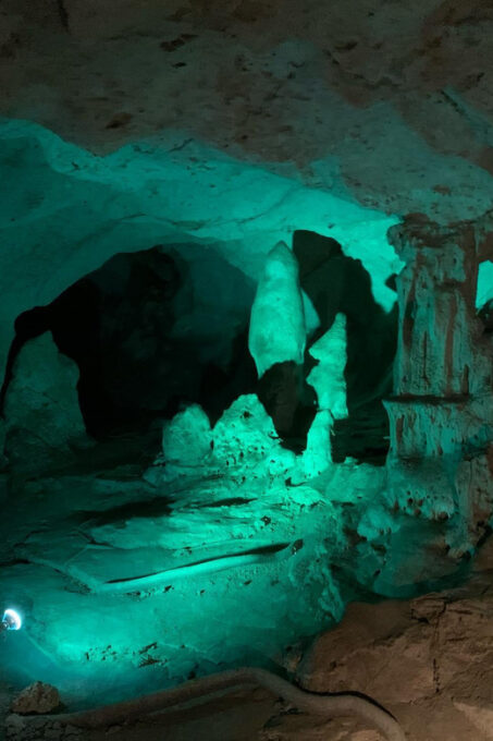 Green Grotto Caves Tour and Transportation - Surrounding Vegetation