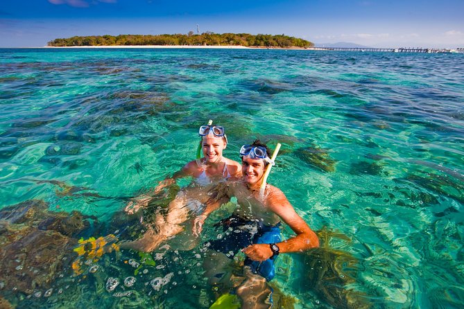 Green Island Day Trip From Cairns With City Transfers - Positive Experiences