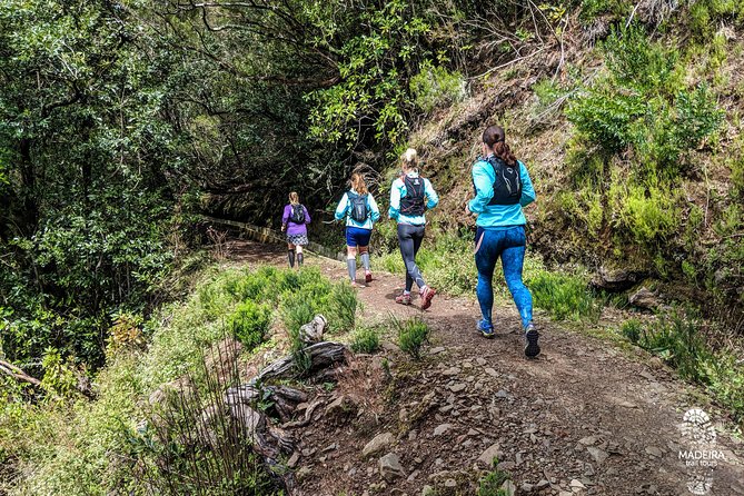 Green Levada Running Tour (Easy-Moderate) - Booking and Cancellation