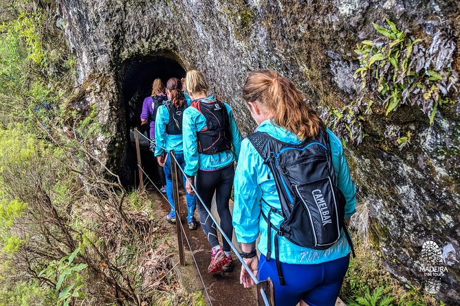 Green Levada Running Tour (Easy-Moderate) - Explore the Green Levada