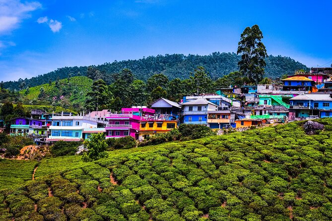 Green Magic Day Tour to Munnar - Pricing and Availability