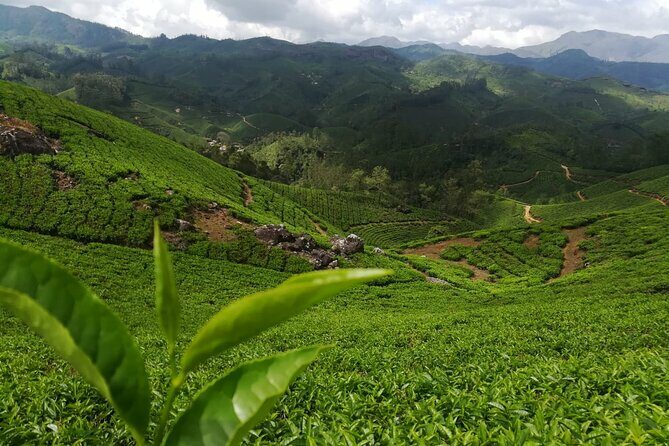 Green Magic One Night Two Days Trip to Munnar - Introduction to the Tour