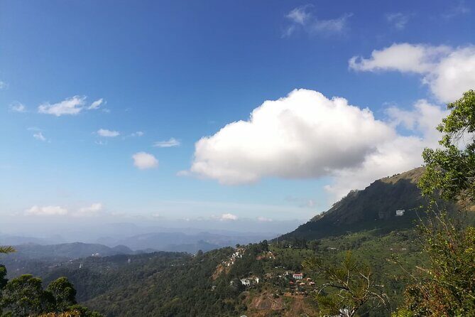 Green Magic One Night Two Days Trip to Munnar - Who Should Consider This Tour?