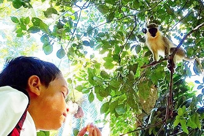 Green Monkey Time - Booking Your Stay