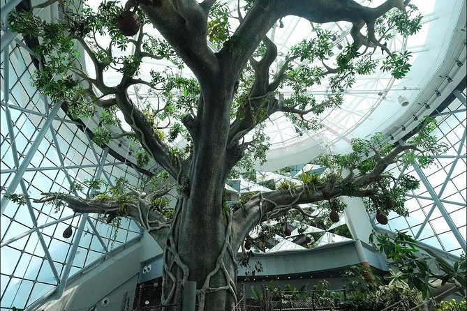 Green Planet Dubai Day Ticket With Pickup and Drop off - Questions About Your Stay