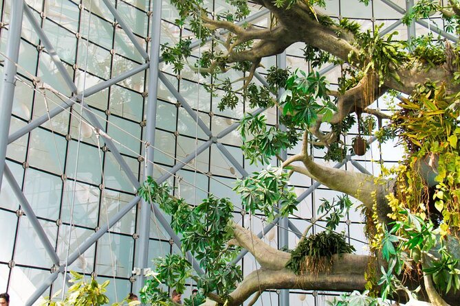 Green Planet Dubai Ticket - Key Points