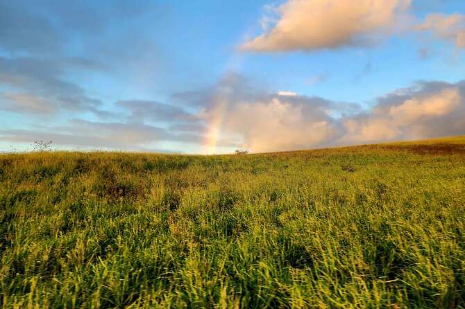 Green Sands Adventure ATV Ride - Scenic Landscapes