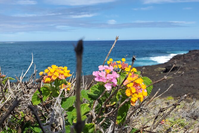 Green Sands Beach ATV Ride and Sunrise Swim With Turtles - Exploring the Green Sands Beach