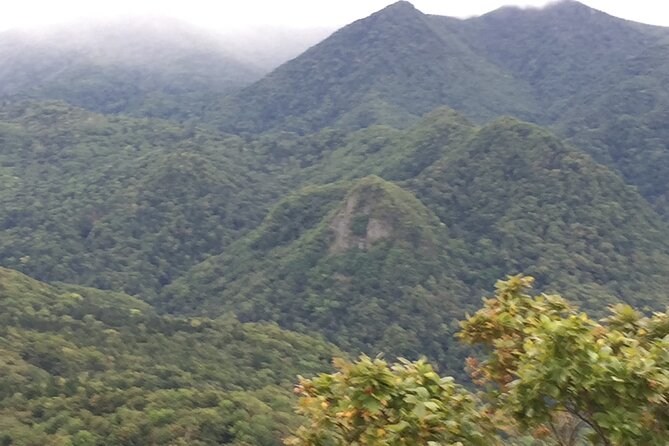 Green Season Half Day Hikes in Sapporo and Hokkaido With Onsen - Participant Requirements