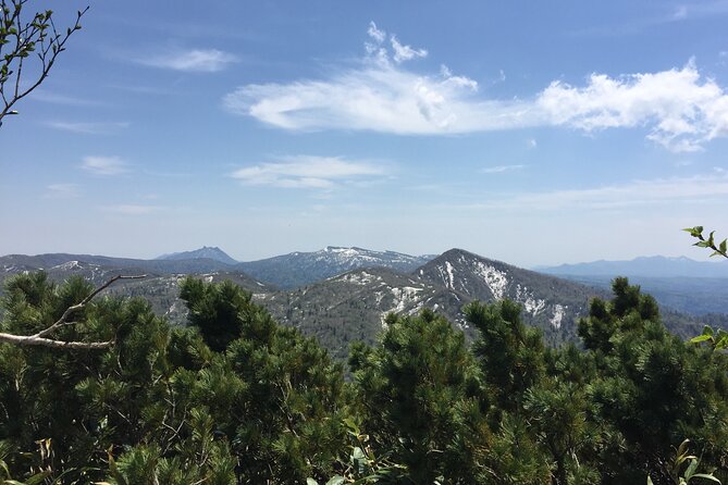 Green Season Half Day Hikes in Sapporo and Hokkaido With Onsen - Booking and Contact Information