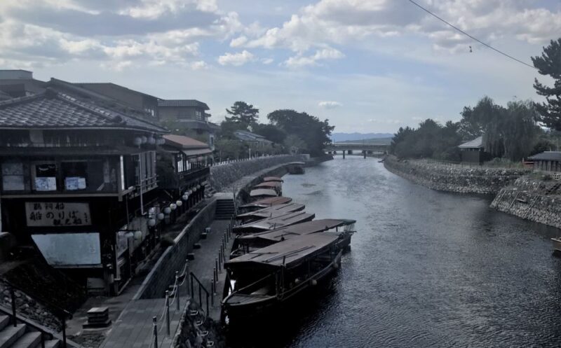 Green Tea Tour With Byodoin and Koshoji Temple Visits - Key Points