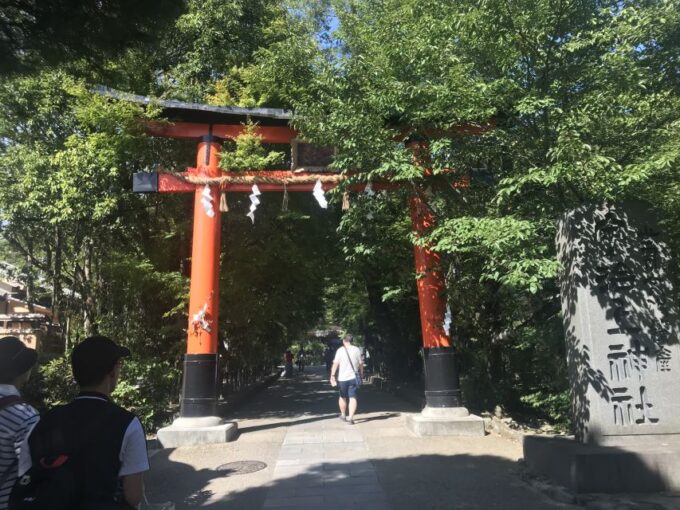 Green Tea Tour With Byodoin and Koshoji Temple Visits - Booking and Inclusions