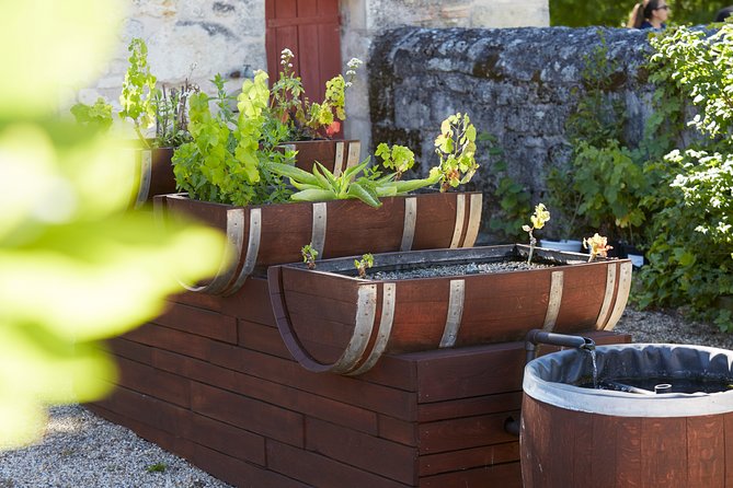 Green Tour of Château De La Dauphine - Accessibility Features