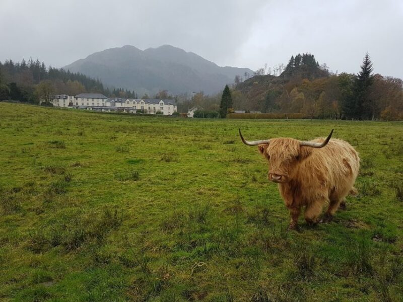 Greenock: Shore Excursion to Stirling Castle and Loch Lomond - Itinerary Highlights