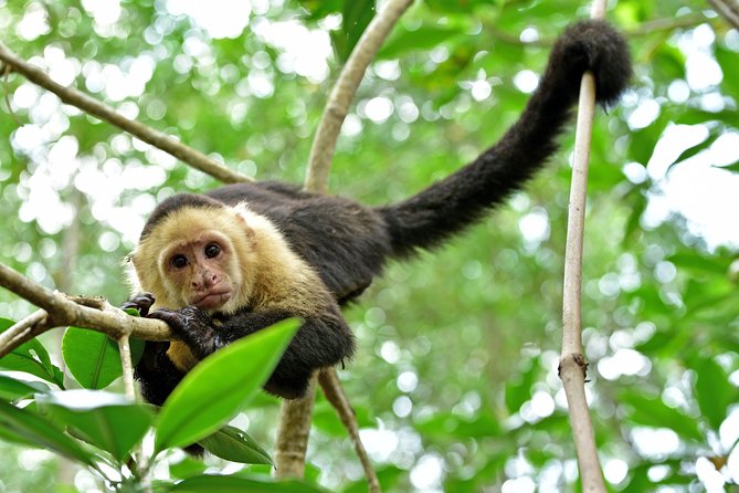 Greenway Adventures 8D/7N Vacation Package - Greenway Nature Day Tours