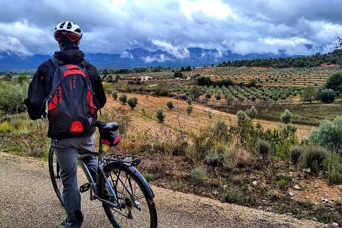Greenway Section Cretas - Horta De Sant Joan 11KM (90% Descending 10% Flat) - Included Amenities