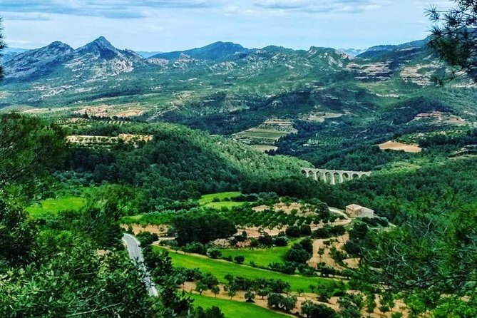 Greenway Section Cretas - Horta De Sant Joan 11KM (90% Descending 10% Flat) - Discounts and Benefits